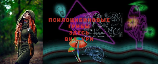 не бодяженный Алексин