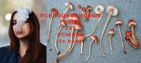 mix Алексеевка
