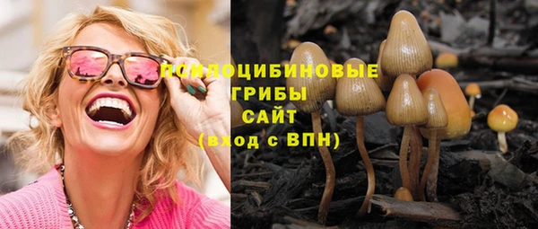 не бодяженный Алексин