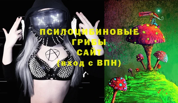 не бодяженный Алексин