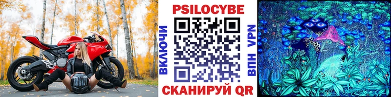 Псилоцибиновые грибы Psilocybine cubensis  где можно купить   Курчалой 